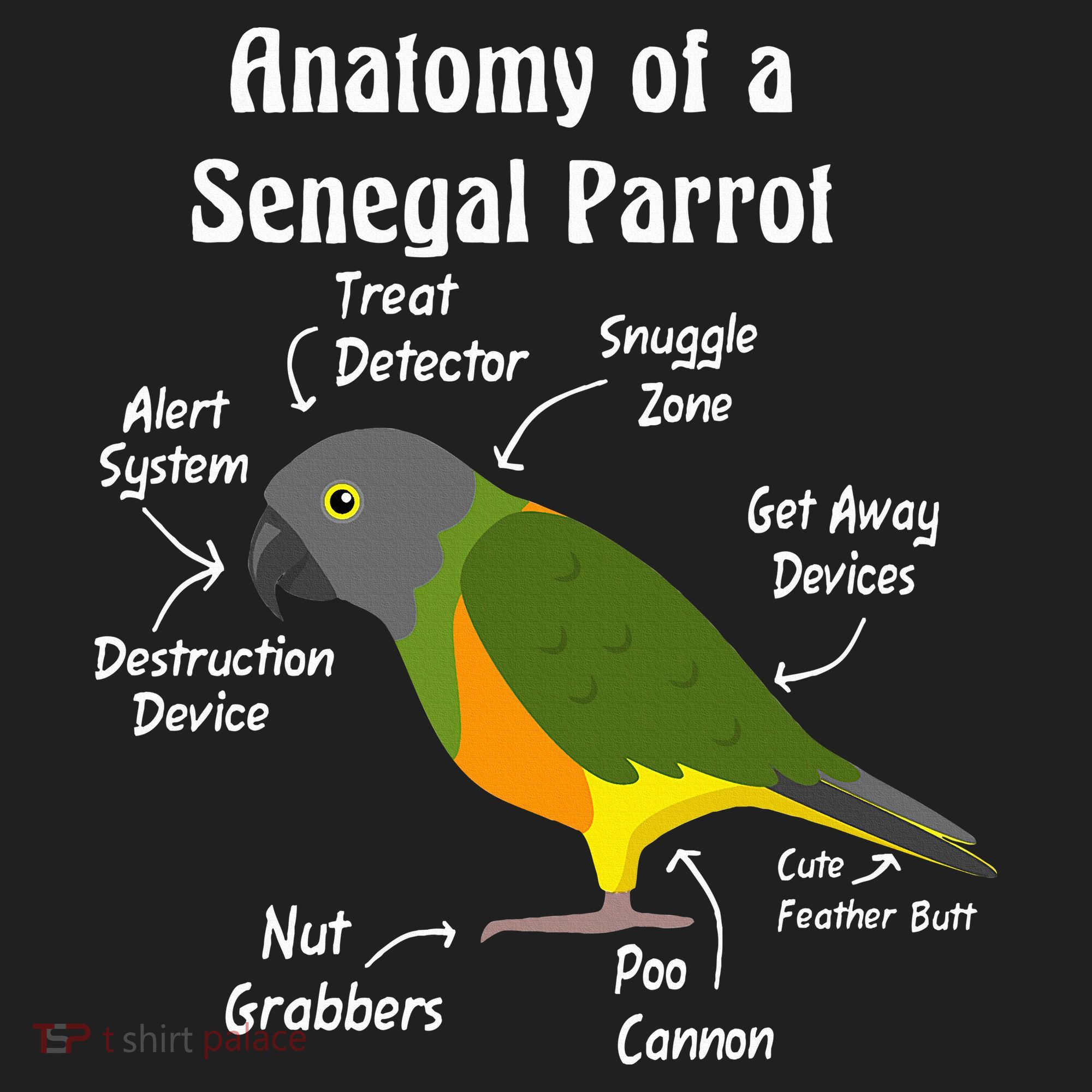 Anatomy Of A Senegal Parrot Women's Sweatshirt