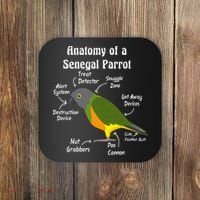 Anatomy Of A Senegal Parrot Coaster thumb 0