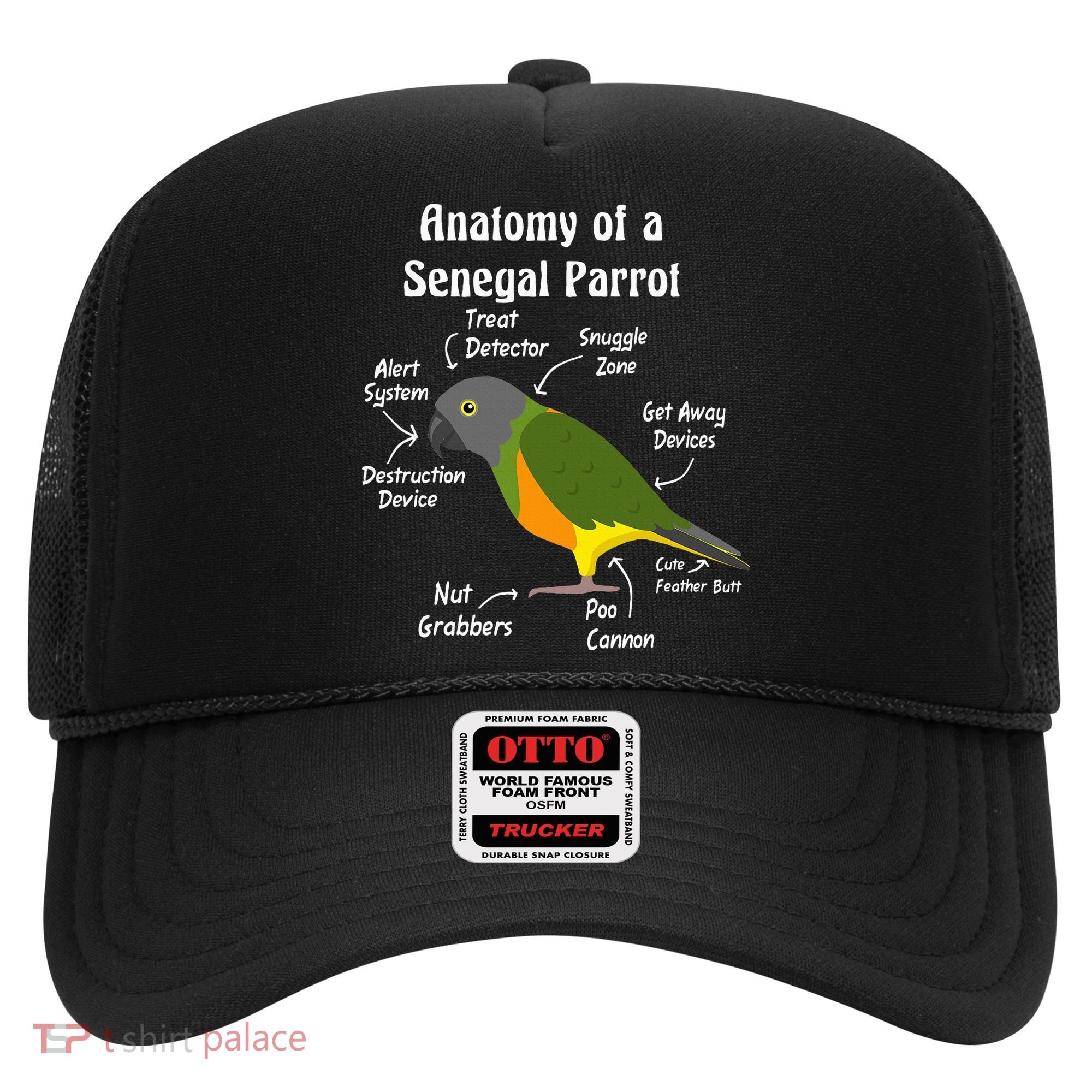 Anatomy Of A Senegal Parrot Hat