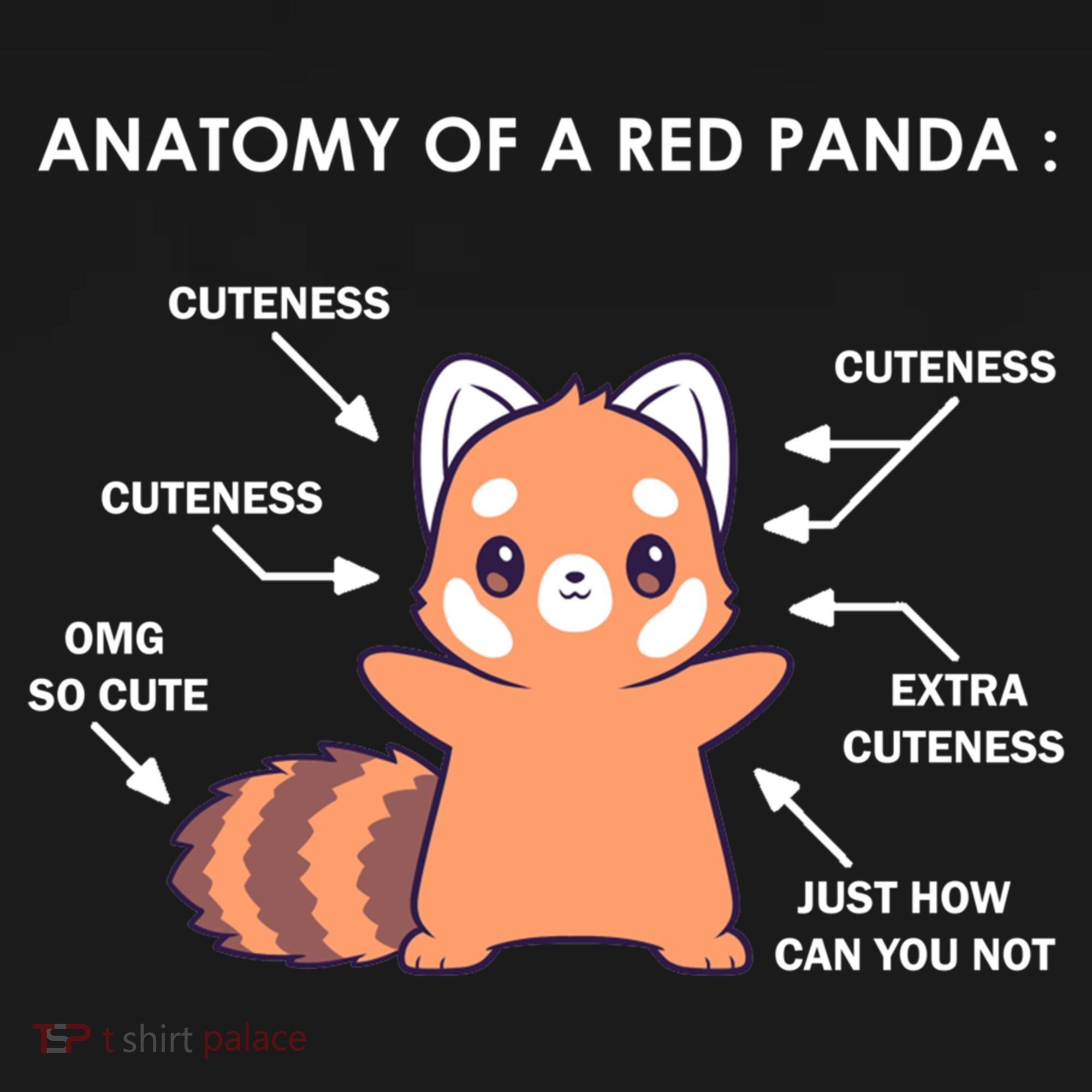 Anatomy Of A Red Panda Science Zoologist Red Panda Anatomy Gift Women's Hoodie