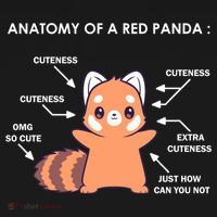 Anatomy Of A Red Panda Science Zoologist Red Panda Anatomy Gift Ornament thumb 1