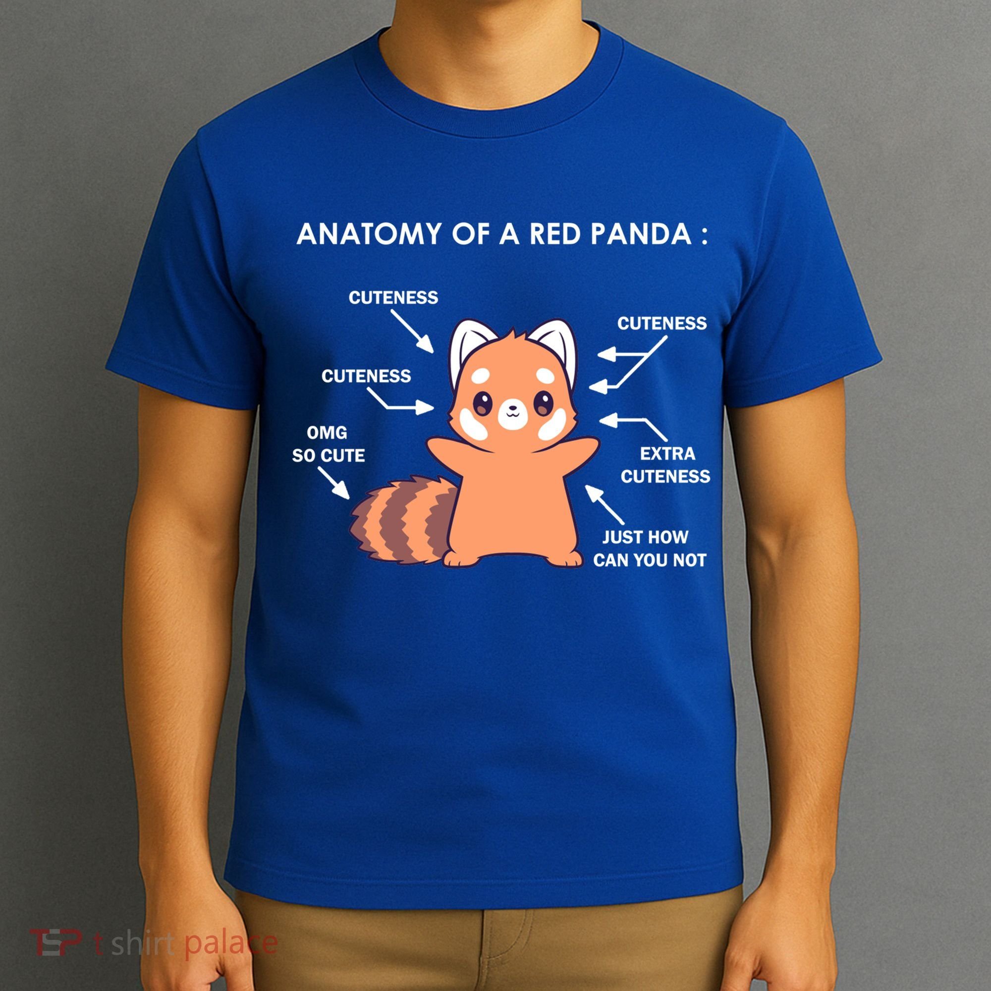 Anatomy Of A Red Panda Science Zoologist Red Panda Anatomy Gift T-Shirt