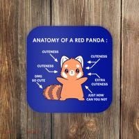 Anatomy Of A Red Panda Science Zoologist Red Panda Anatomy Gift Coaster thumb 0