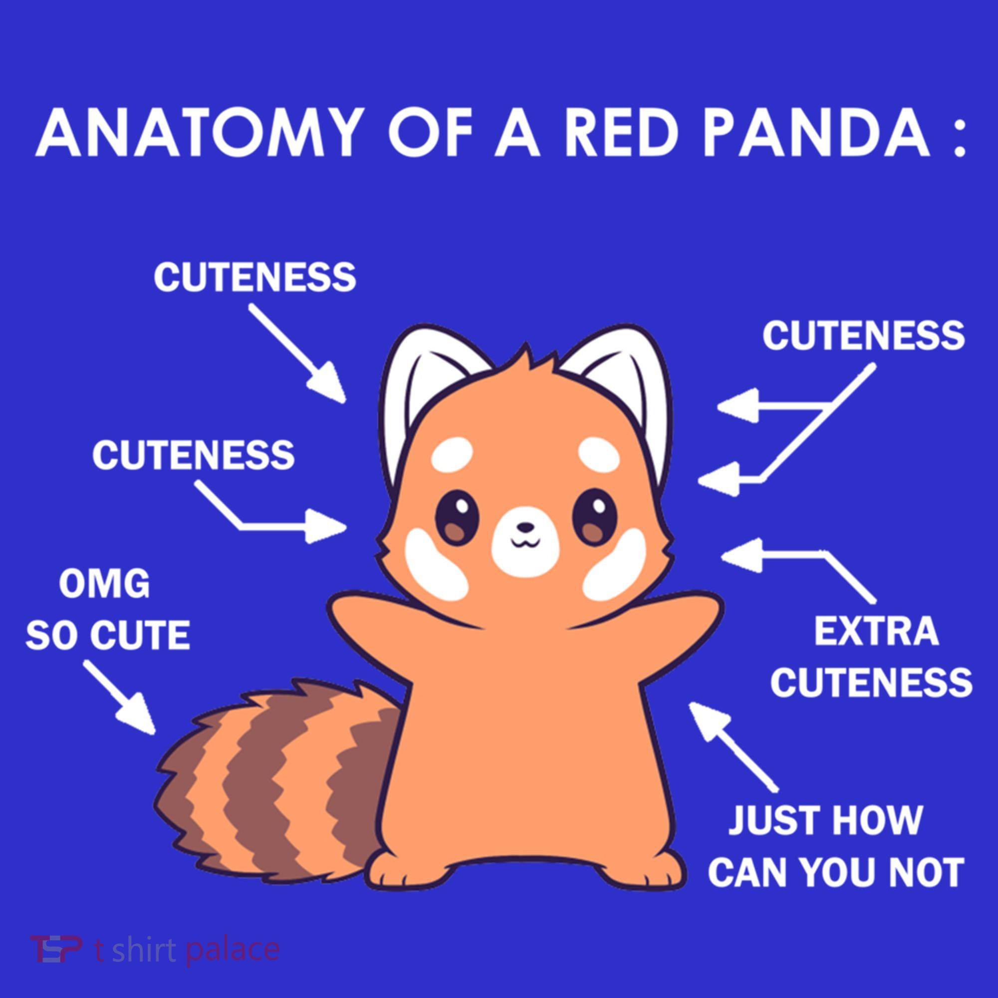 Anatomy Of A Red Panda Science Zoologist Red Panda Anatomy Gift Coaster