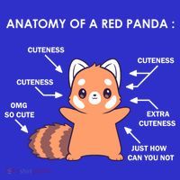 Anatomy Of A Red Panda Science Zoologist Red Panda Anatomy Gift Baby Bodysuit thumb 2