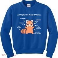 Anatomy Of A Red Panda Science Zoologist Red Panda Anatomy Gift Kids Sweatshirt thumb 0