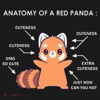 Anatomy Of A Red Panda Science Zoologist Red Panda Anatomy Mousepad thumb 1