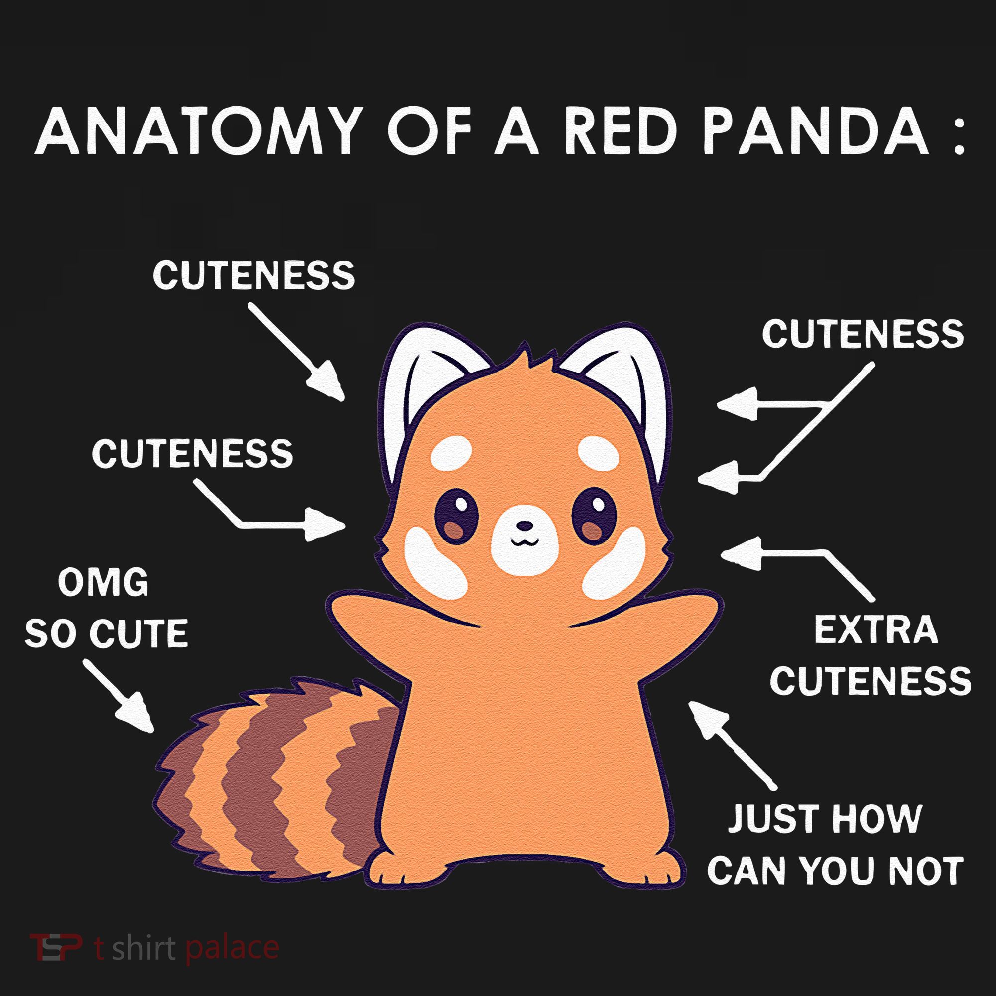 Anatomy Of A Red Panda Science Zoologist Red Panda Anatomy Women's Tank Top
