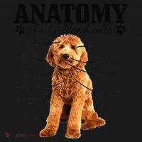 Anatomy Of A Goldendoodle Funny Cute Dog Doodle Mom Dad Gift Women's Hoodie thumb 2