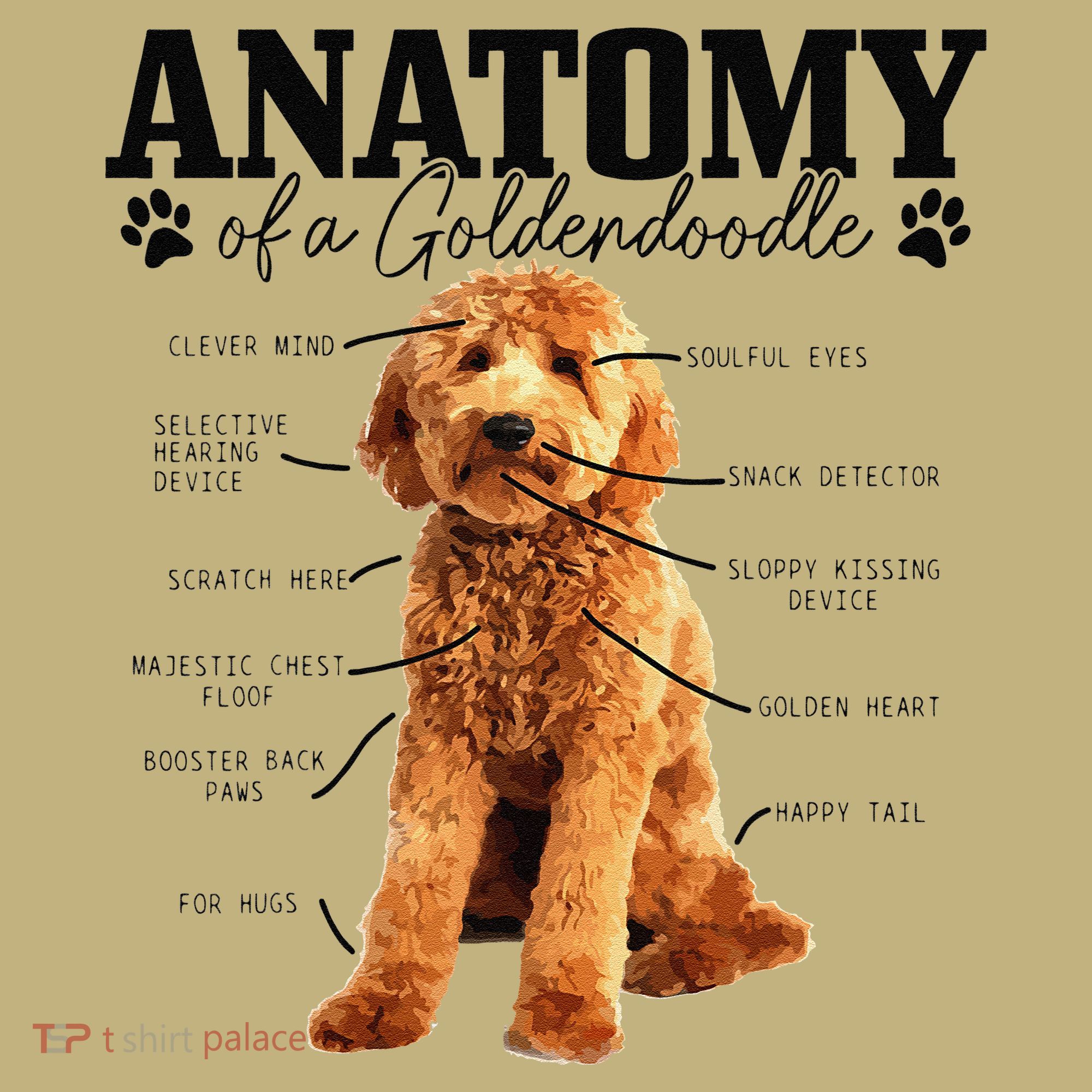 Anatomy Of A Goldendoodle Funny Cute Dog Doodle Mom Dad Gift T-Shirt