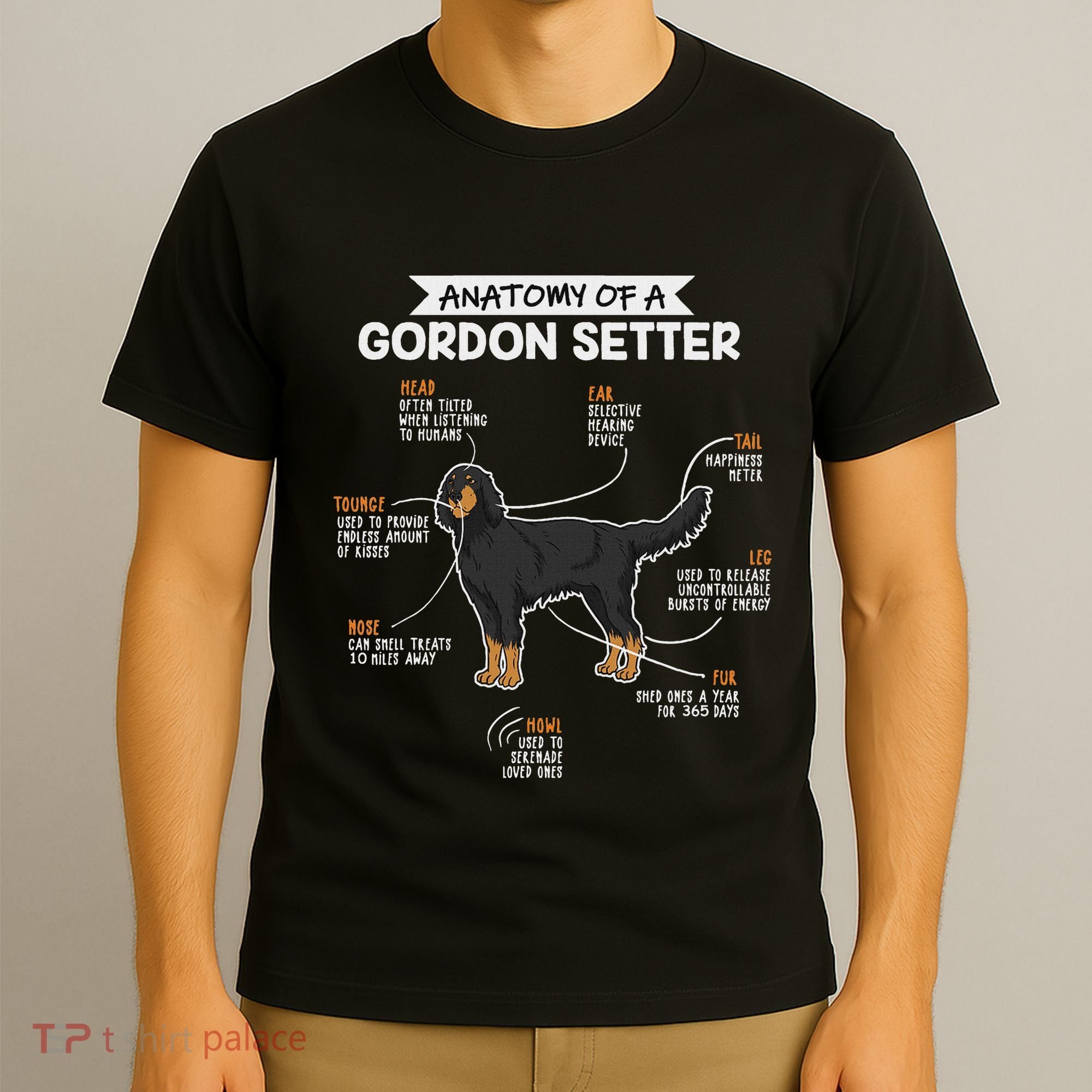 Anatomy Of A Gordon Setter Fun Dog M.A.S.T.E.RS Lady T-Shirt