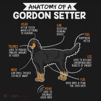 Anatomy Of A Gordon Setter Fun Dog M.A.S.T.E.RS Lady T-Shirt thumb 7