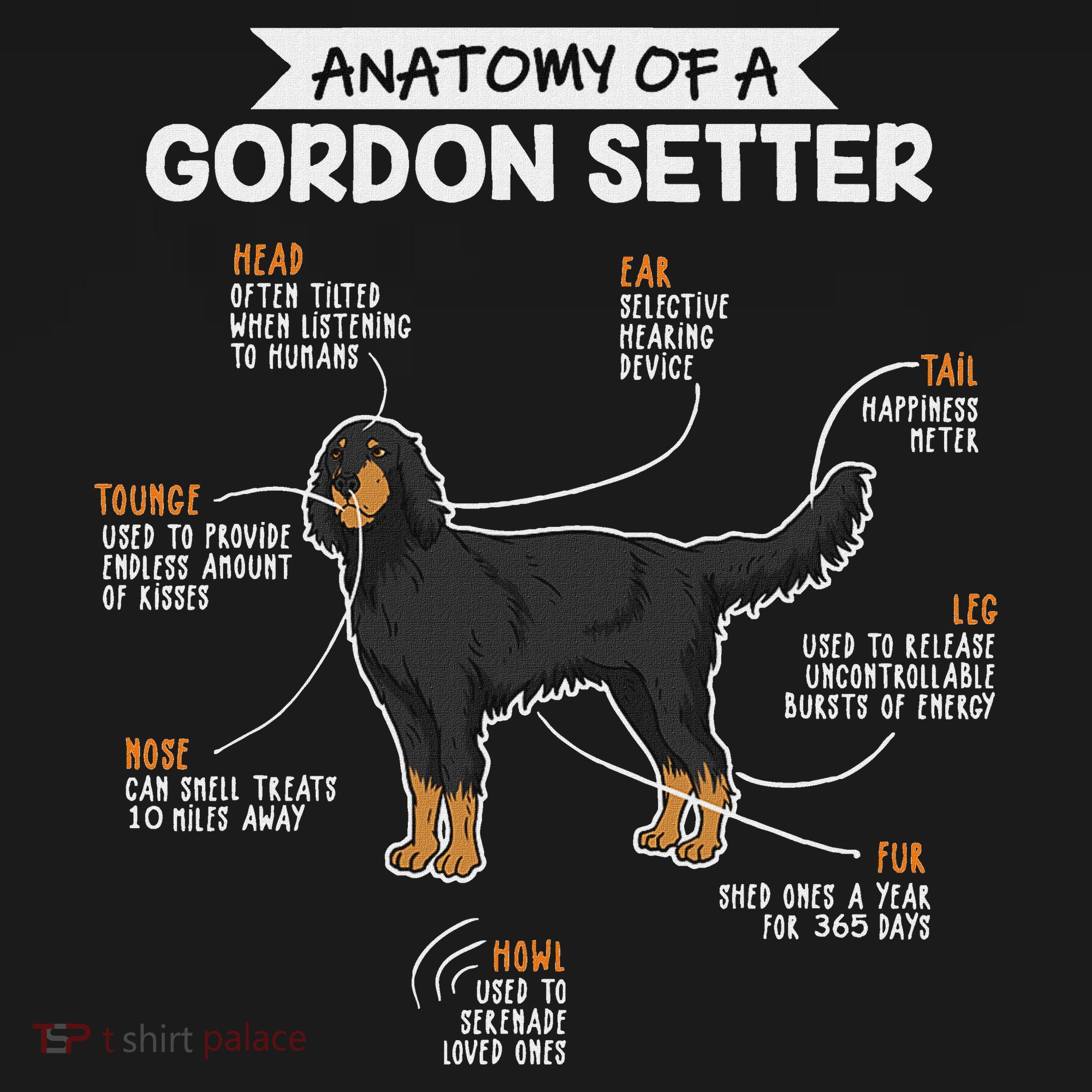Anatomy Of A Gordon Setter Fun Dog M.A.S.T.E.RS Lady Women's Tank Top