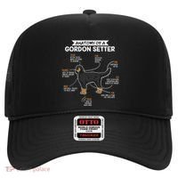 Anatomy Of A Gordon Setter Fun Dog M.A.S.T.E.RS Lady Hat thumb 0