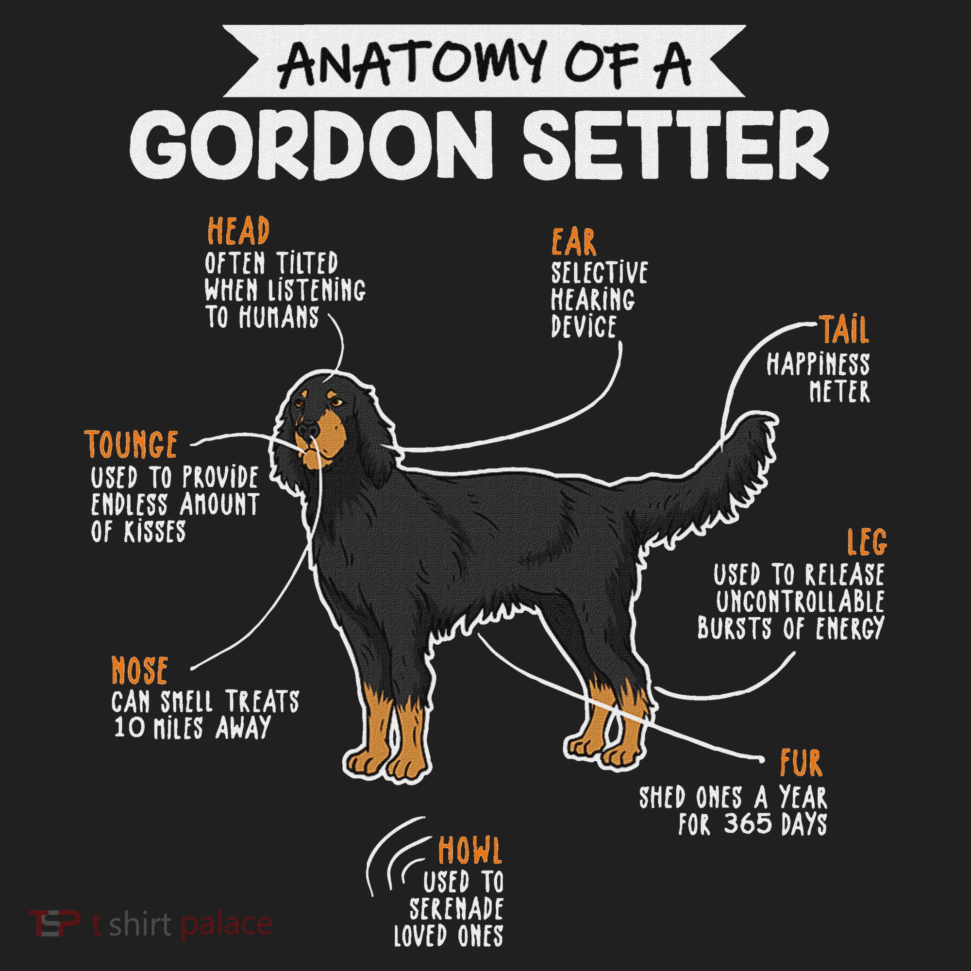 Anatomy Of A Gordon Setter Fun Dog M.A.S.T.E.RS Lady Hat