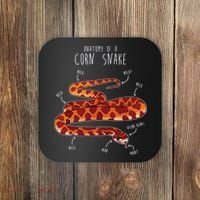 Anatomy Of A Corn Snake Funny Pet Reptile Snake Lover Coaster thumb 0