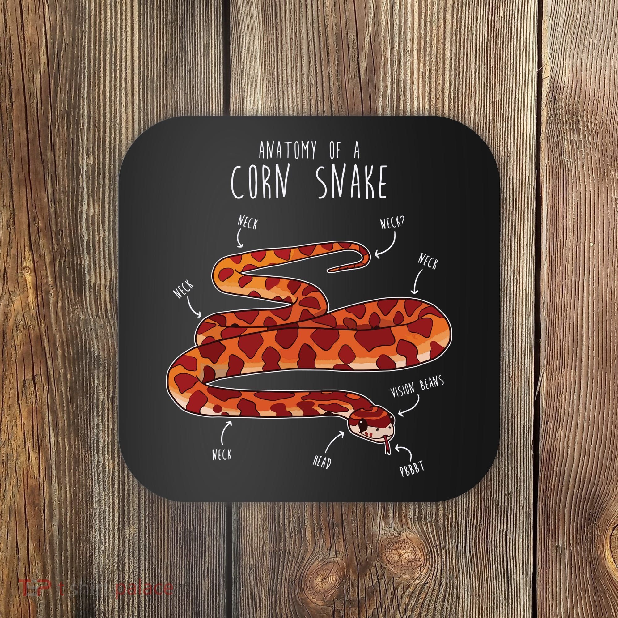 Anatomy Of A Corn Snake Funny Pet Reptile Snake Lover Coaster