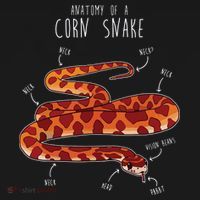 Anatomy Of A Corn Snake Funny Pet Reptile Snake Lover Women's Hoodie thumb 2