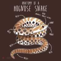 Anatomy Of A Hognose Snake Funny Pet Reptile Animal Lover T-Shirt thumb 7