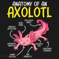 Anatomy Of An Axolotl Kawaii Salamander Pet Axolotl Lover T-Shirt thumb 7