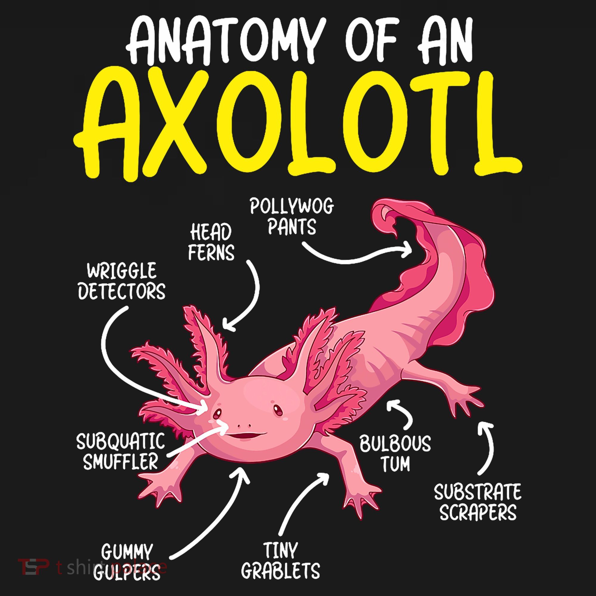 Anatomy Of An Axolotl Kawaii Salamander Pet Axolotl Lover T-Shirt