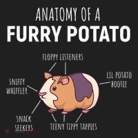 Anatomy Of A Furry Potato Guinea Pig Lover Five-Panel Snapback Cap thumb 2