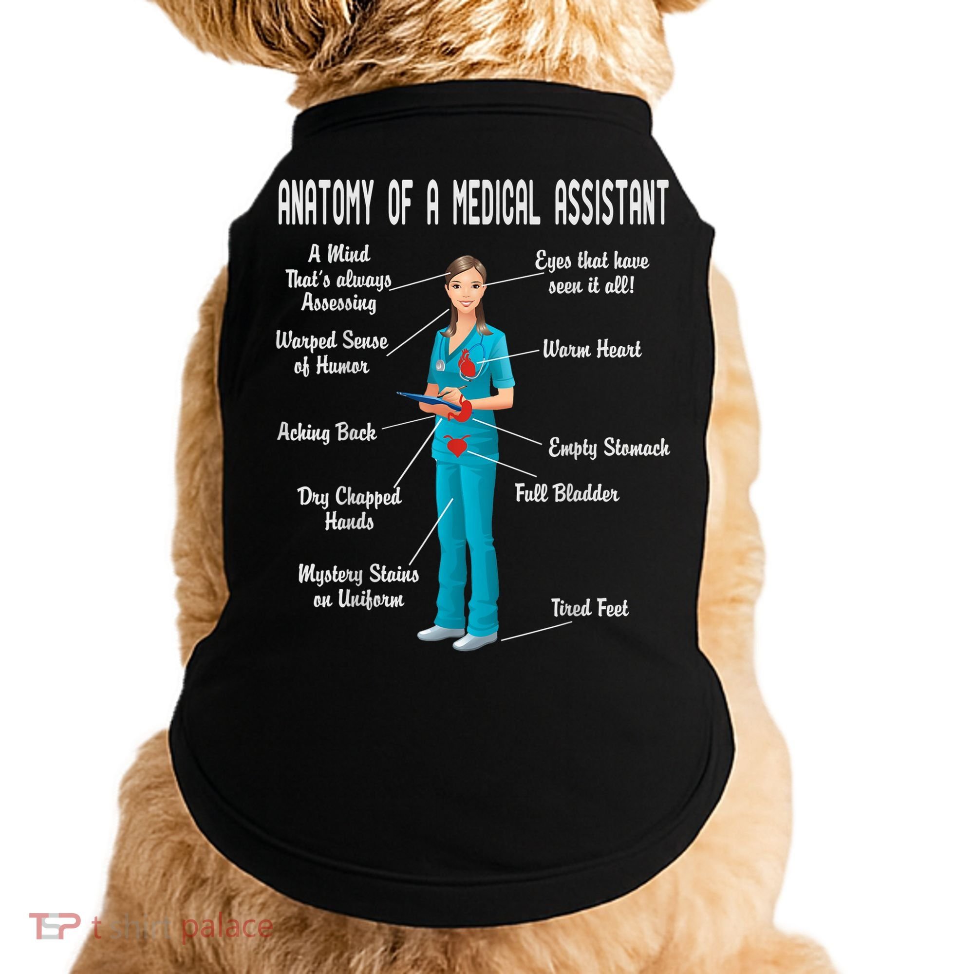 Anatomy Of A Medical Assistant Doggie Tank