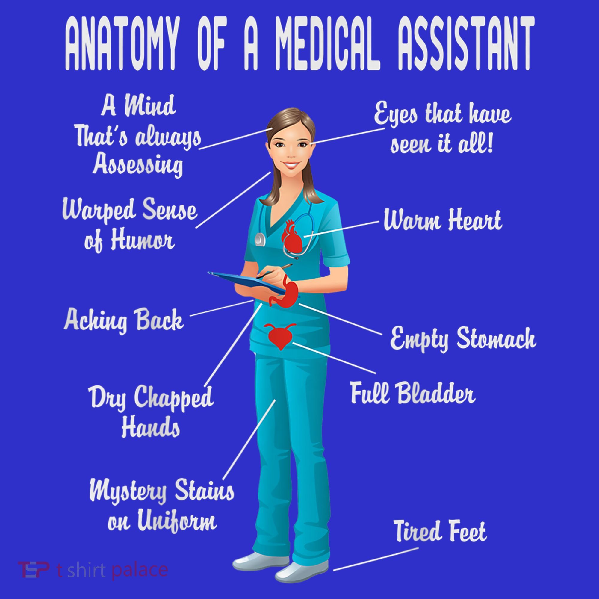 Anatomy Of A Medical Assistant Visor