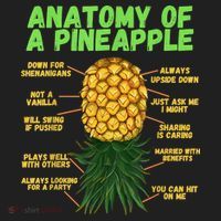 Anatomy Of A Pineapple Funny Upside Down Pineapple Beanie thumb 2