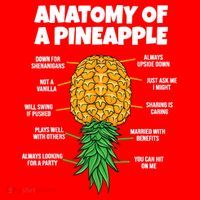 Anatomy Of A Pineapple Swinger Funny Upside Down Pineapple Santa Hat thumb 1