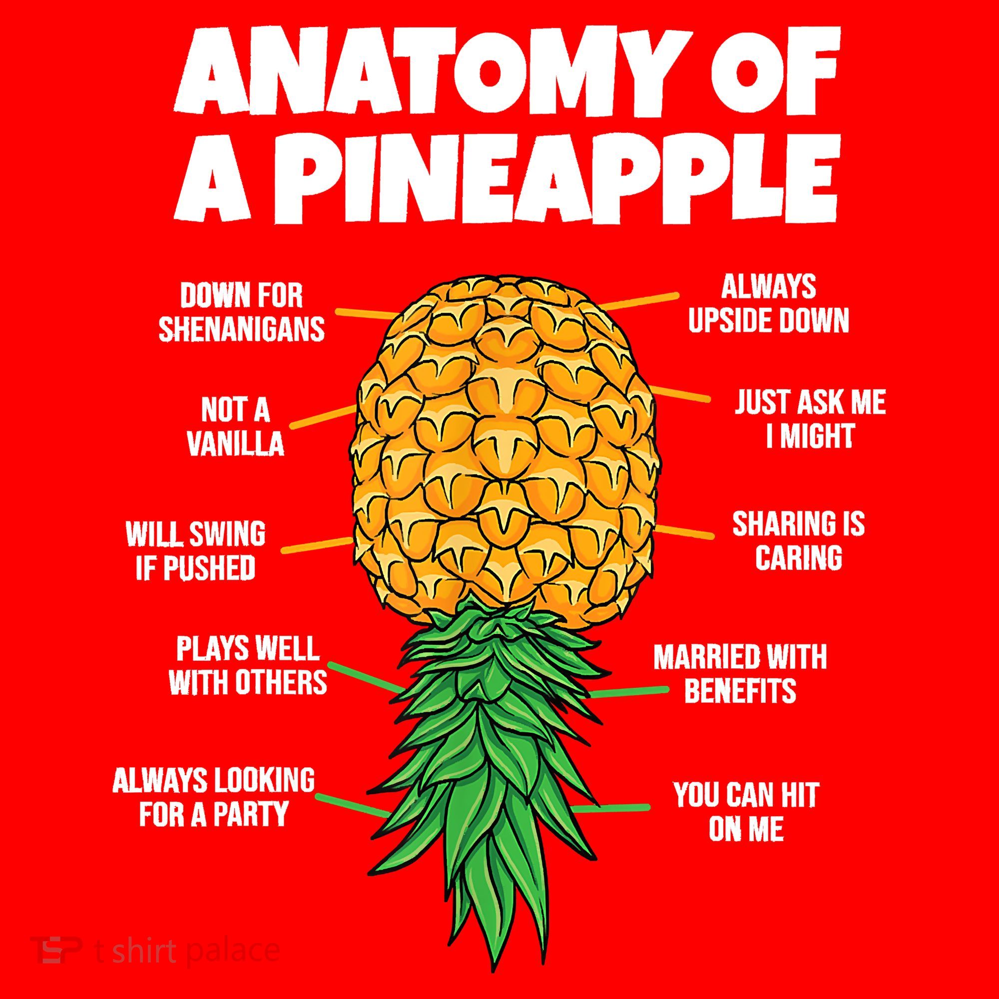 Anatomy Of A Pineapple Swinger Funny Upside Down Pineapple Santa Hat