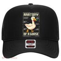 Anatomy Of A Goose Funny Goose Hat thumb 0