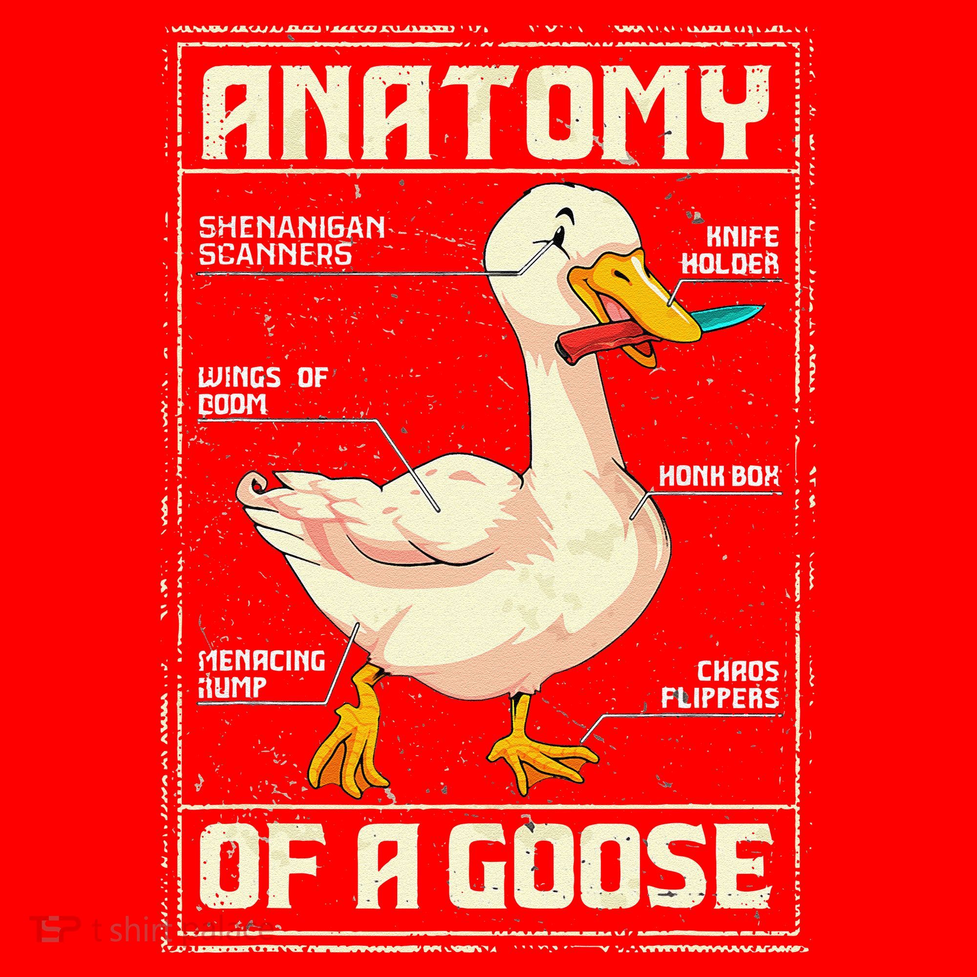 Anatomy Of A Goose Funny Goose Santa Hat