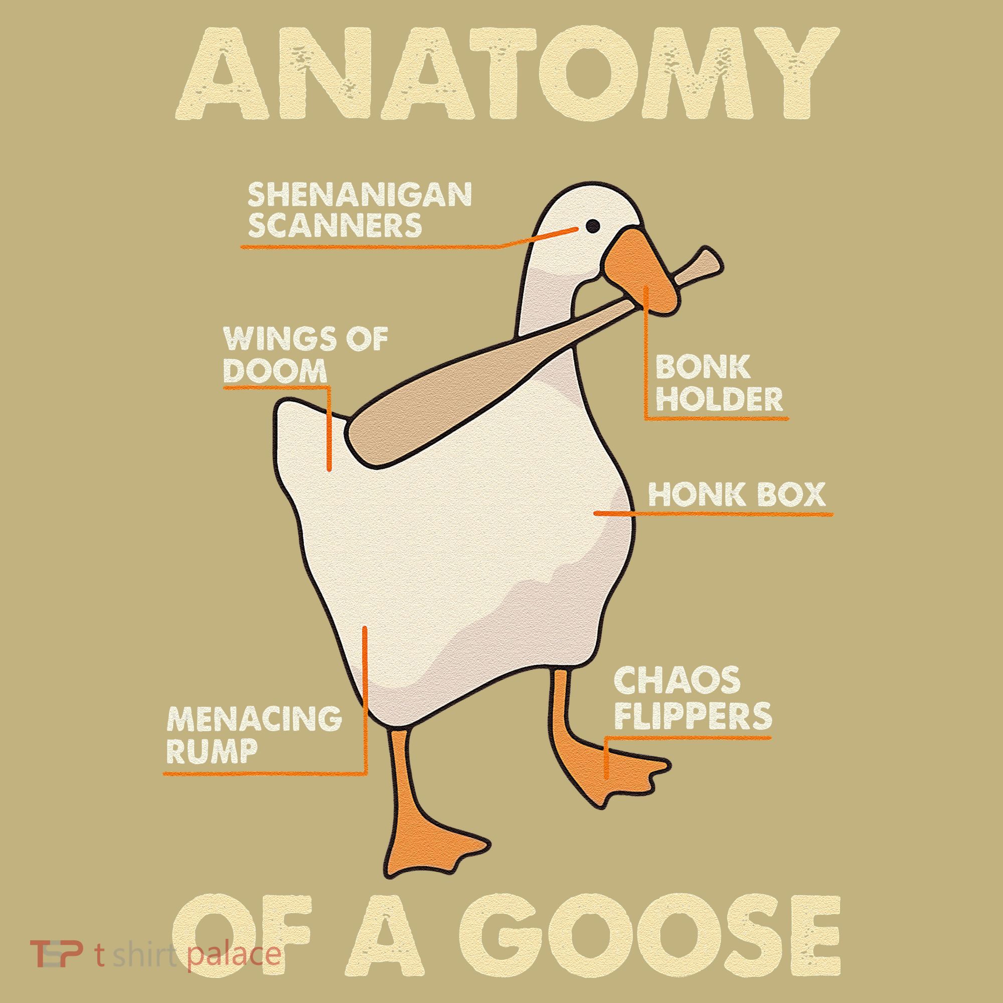 Anatomy Of A Goose Funny Meme Animal Lover Goose Honk Bonk T-Shirt