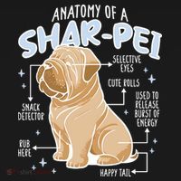 Anatomy Of A Sharpei Dog Coaster thumb 2