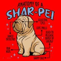 Anatomy Of A Sharpei Dog Santa Hat thumb 1