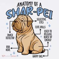 Anatomy Of A Sharpei Dog Hoodie thumb 2