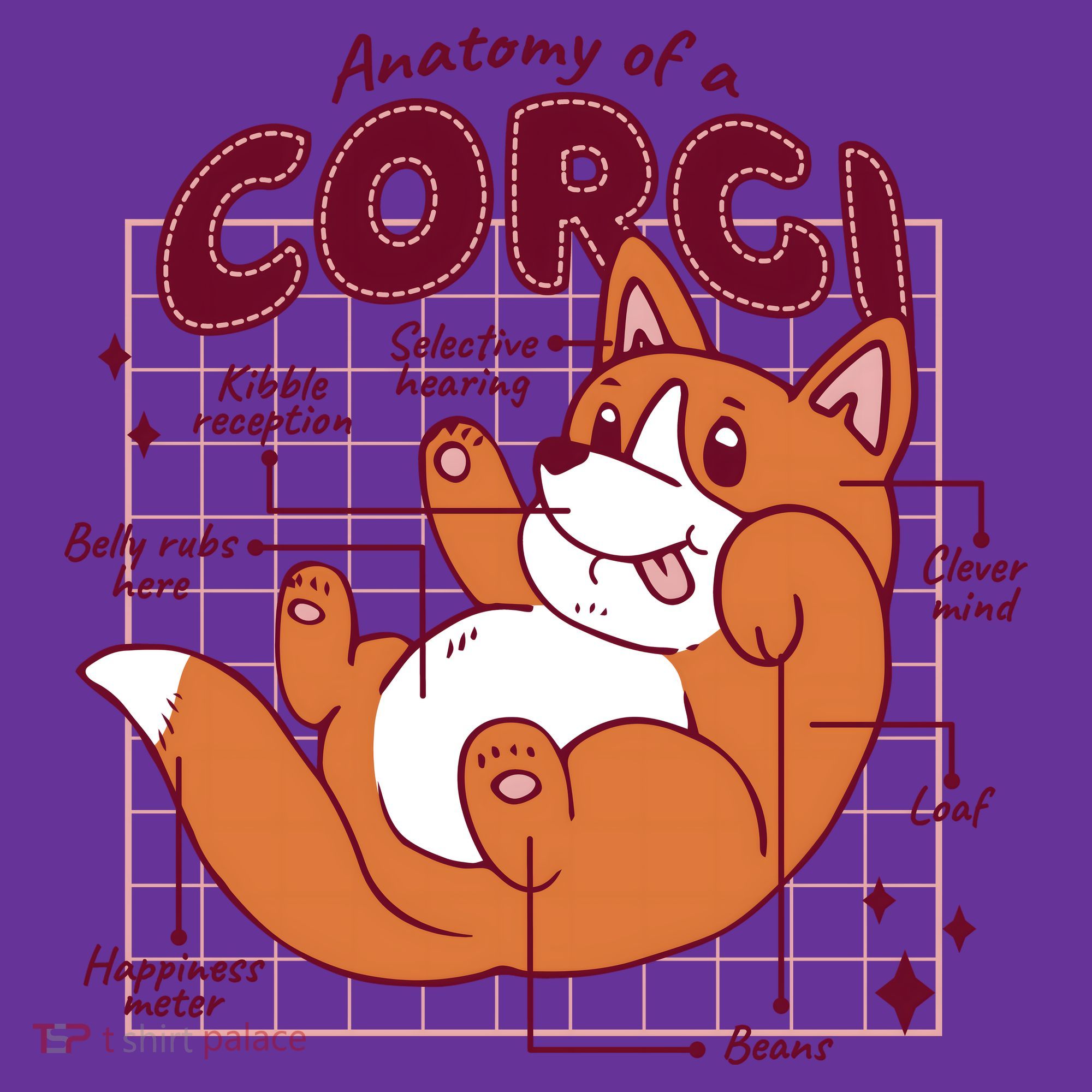 Anatomy Of A Corgi Dog Visor