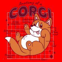 Anatomy Of A Corgi Dog Santa Hat thumb 1