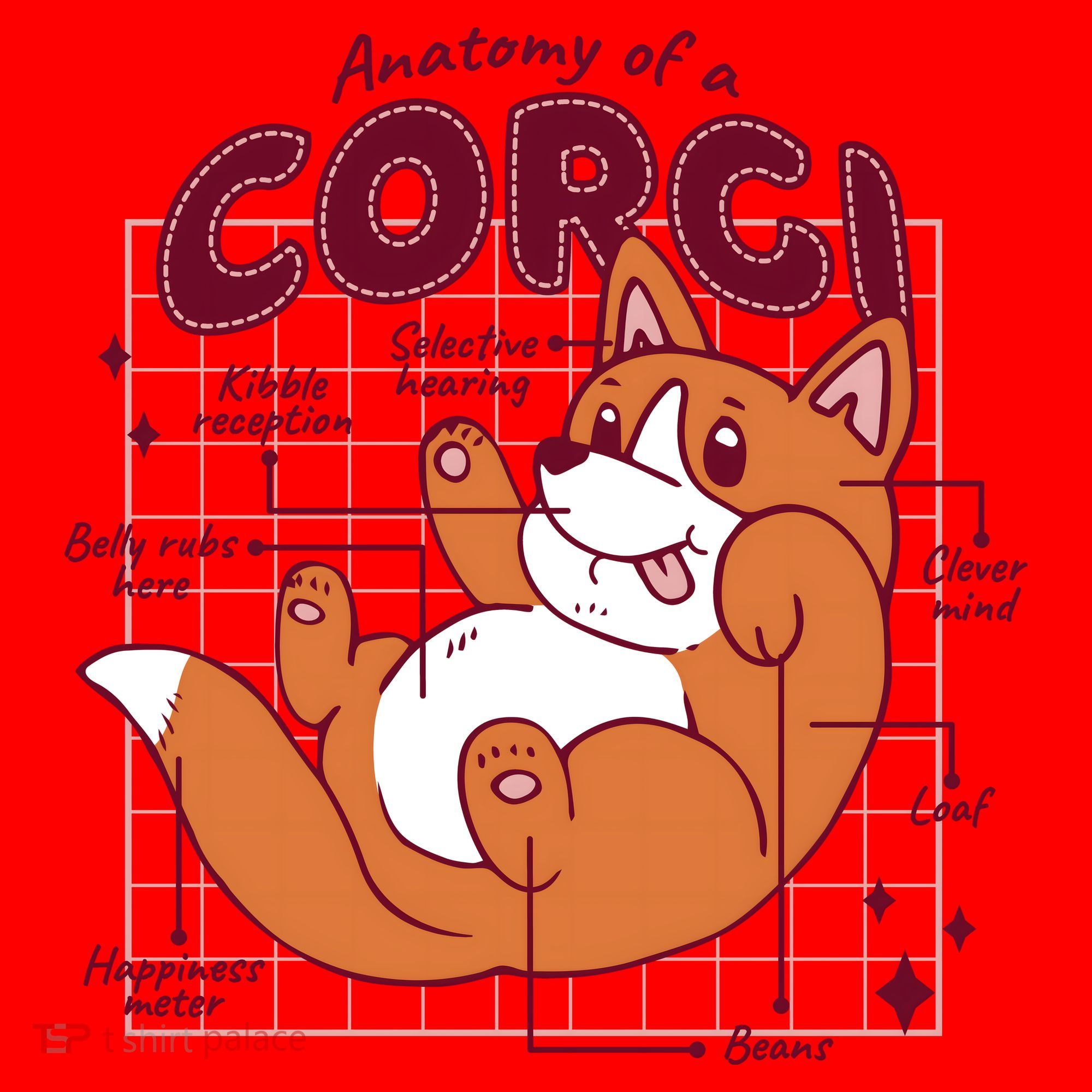 Anatomy Of A Corgi Dog Santa Hat