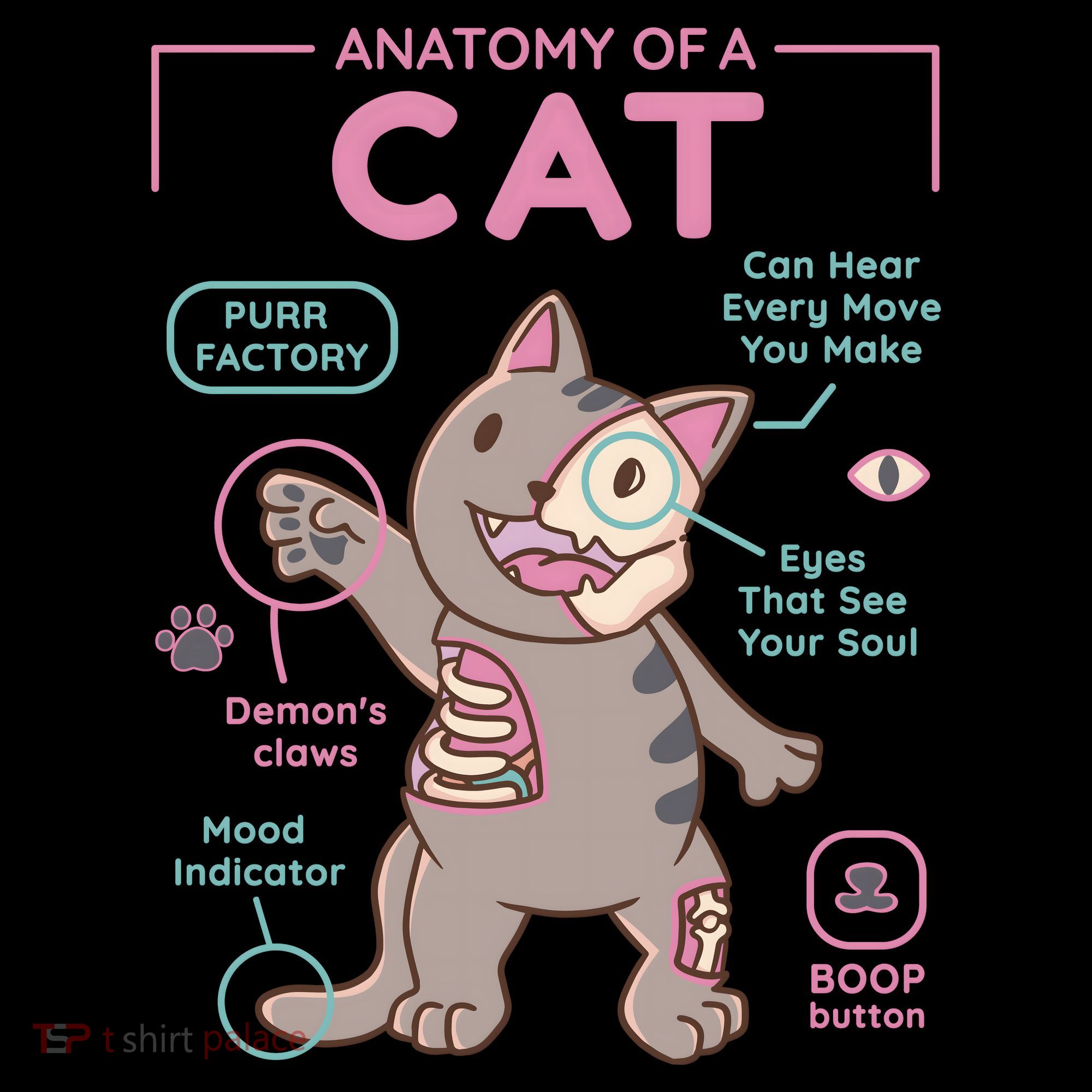 Anatomy Of A Cat Women's Hoodie
