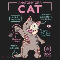 Anatomy Of A Cat Tumbler thumb 3