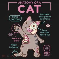 Anatomy Of A Cat Baby Bodysuit thumb 2