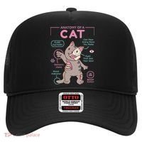 Anatomy Of A Cat Hat thumb 0