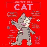 Anatomy Of A Cat Santa Hat thumb 1