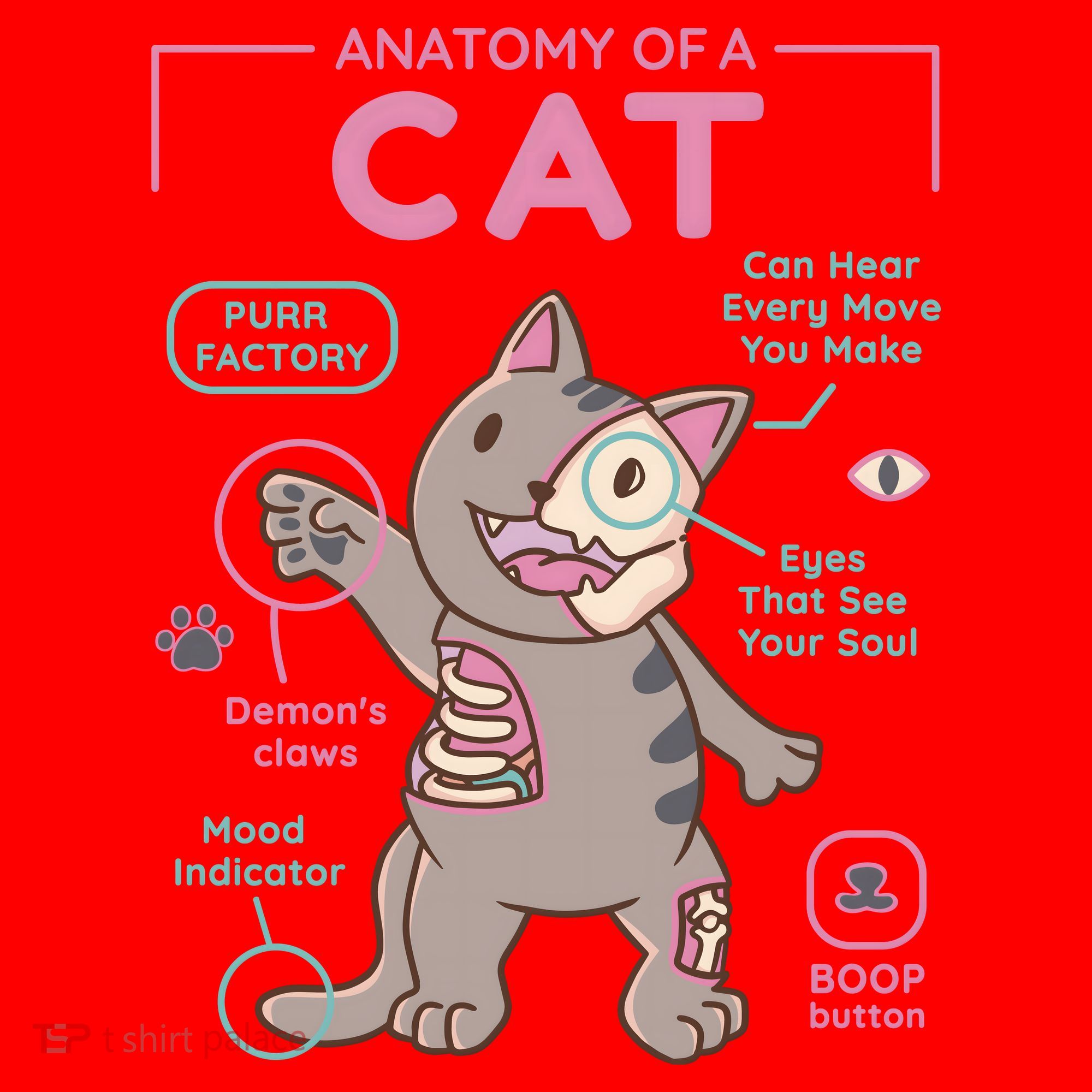 Anatomy Of A Cat Santa Hat
