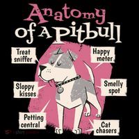 Anatomy Of A Pitbull Cute Gift Coffee Mug thumb 5