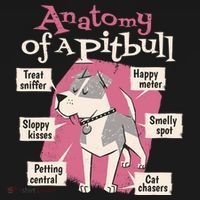Anatomy Of A Pitbull Cute Gift Women's Hoodie thumb 2