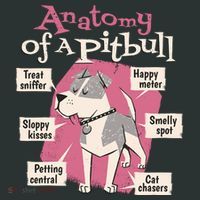 Anatomy Of A Pitbull Cute Gift Sweatshirt thumb 2