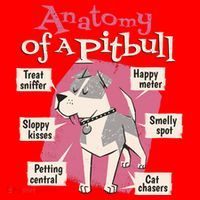 Anatomy Of A Pitbull Cute Gift Santa Hat thumb 1